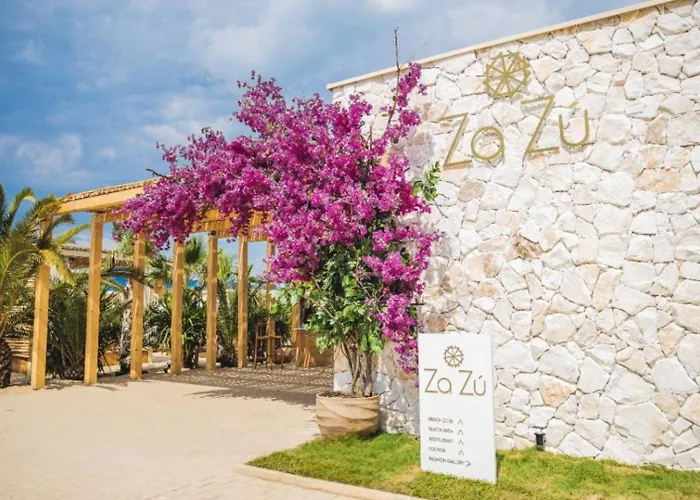 Celebrity Exclusive Cacao *