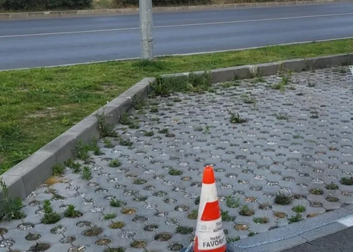 Celebrity Exclusive Cacao * Napospart