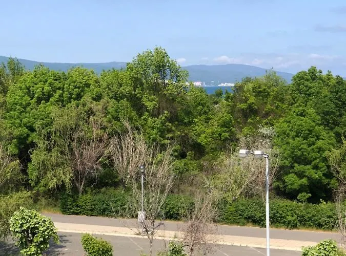 Celebrity Exclusive Cacao *