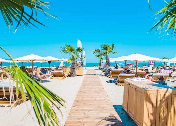 Celebrity Exclusive Cacao Daire *